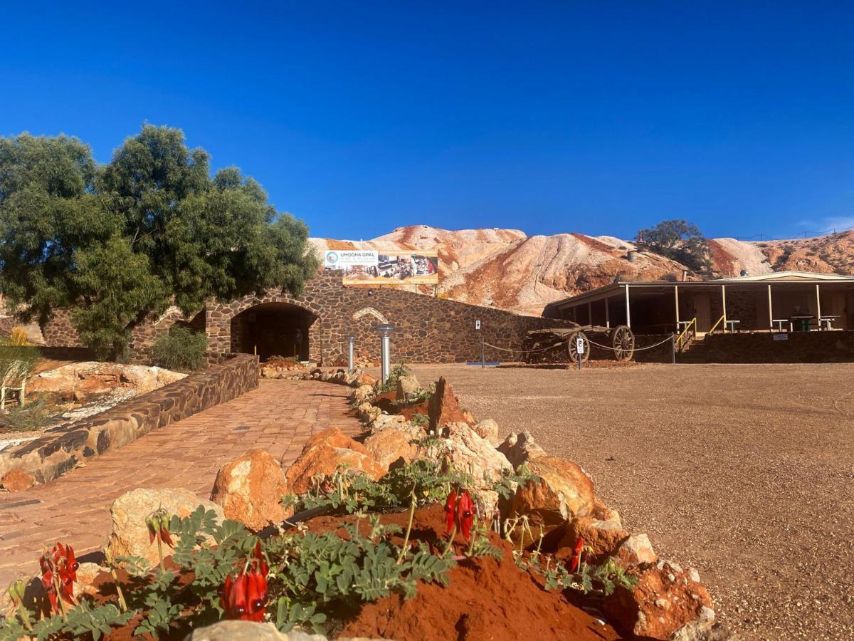 Ali'S Underground Home Coober Pedy Dış mekan fotoğraf